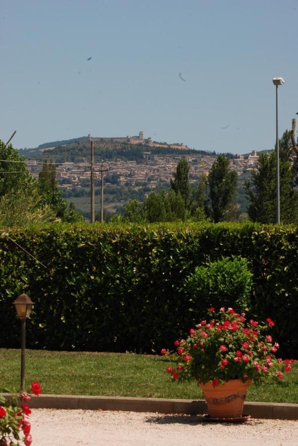 Agriturismo"Il Sagrato Di Assisi" Appartamenti,Camere Exterior foto